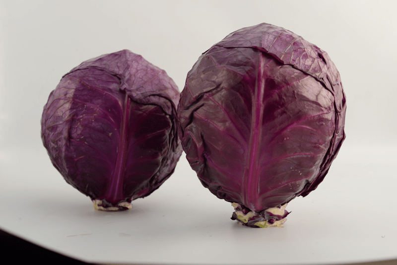 Left Less Varied RIVA - Variety Red Cabbage | Syngenta Vegetable Seeds Zambia