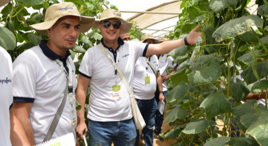 Syngenta Vegetable Seeds teams are in Asia, Africa, Americas, Europe, and elsewhere.