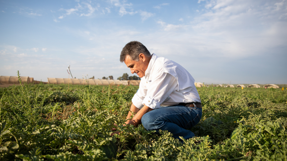 Syngenta Vegetables Growers and Customer Success Stories