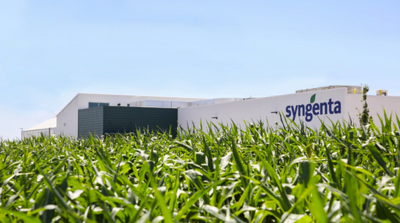 Syngenta Debuts $15 Million Global Vegetable Seeds Quality Control Lab