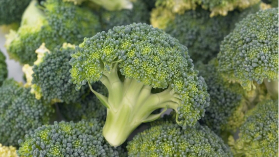 Broccoli cta