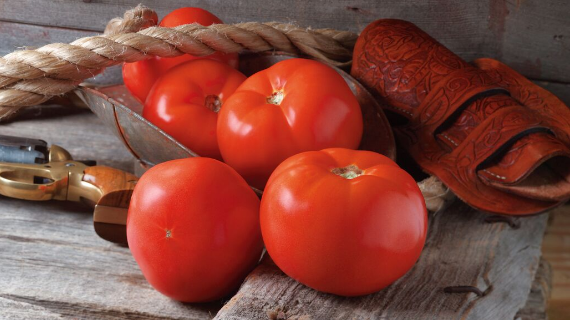 Western Tomato
