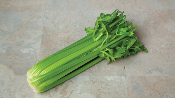 celery cta