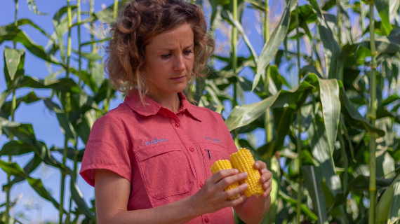 Person holding corn.