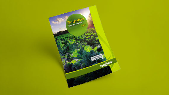 Brochure Linea Brassiche