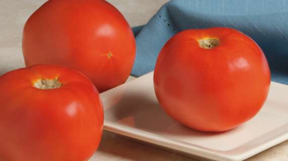 western tomato