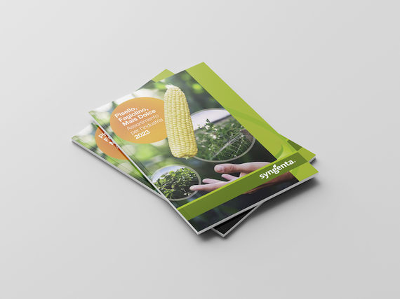 Mockup catalogue légumes d'industrie