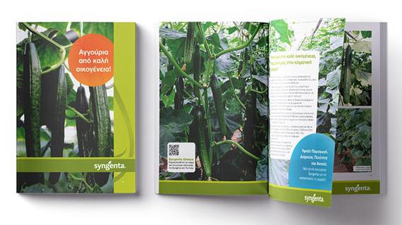 Cucumber brochure preview
