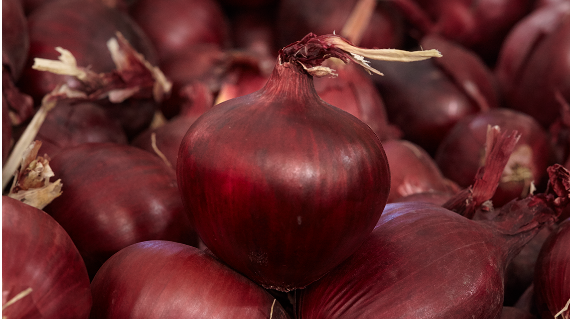 onion1