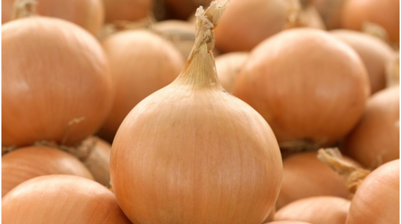PROMOTION ONION NETHERLANDS