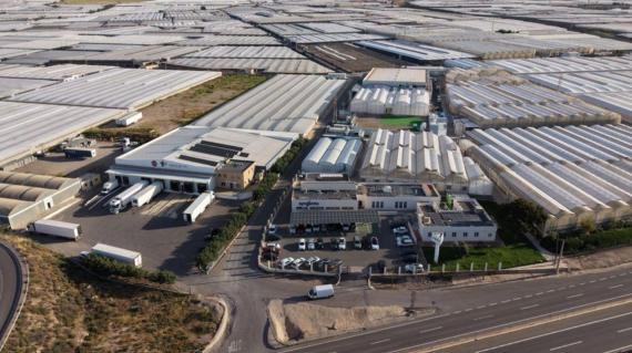 New Syngenta Technology Center reduces breeding timelines and strengthens food security