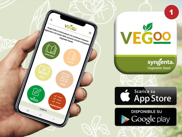 vegoo app info