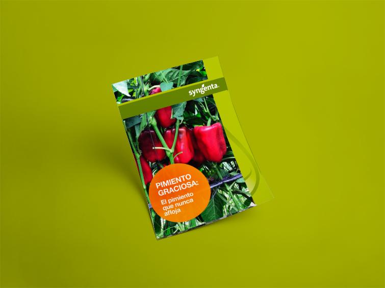 Pimiento Graciosa