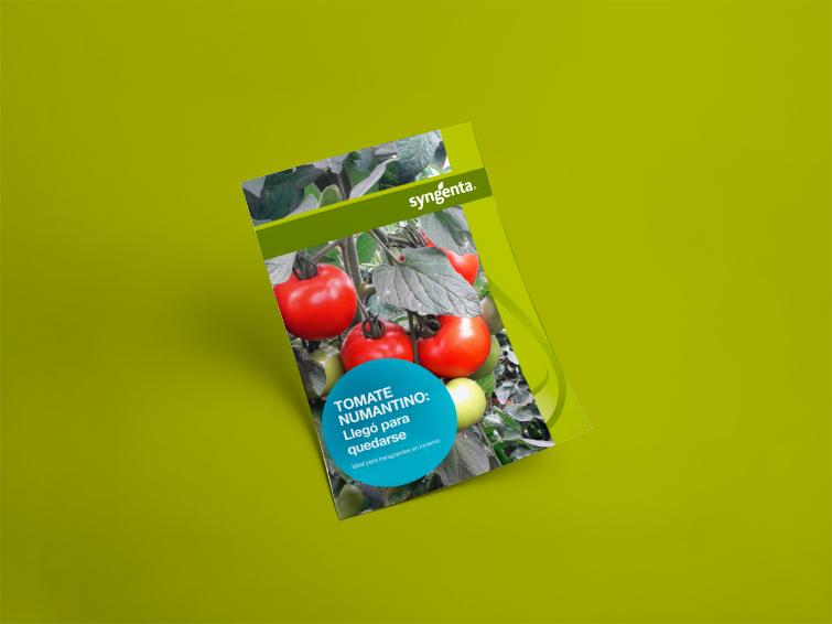 Tomate Numantino
