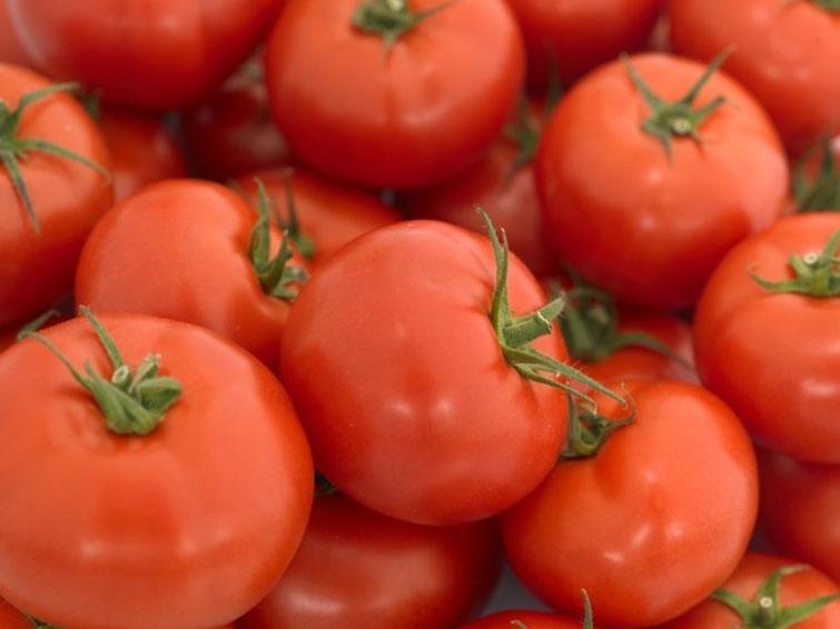 tomato