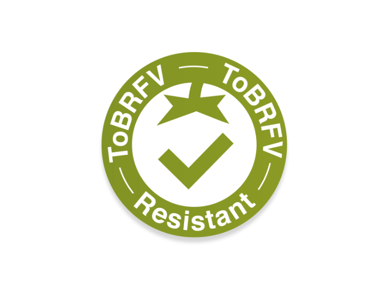 Tobrfv resistant2