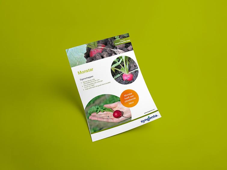 Monstar leaflet