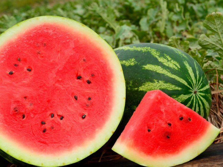 Watermelon argentina