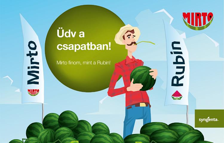 Beérik a munkánk gyümölcse - Mirto finom mint a Rubin!