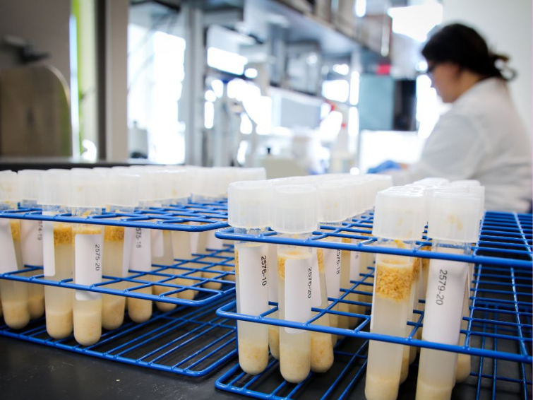 seed_health_lab_755x566.png