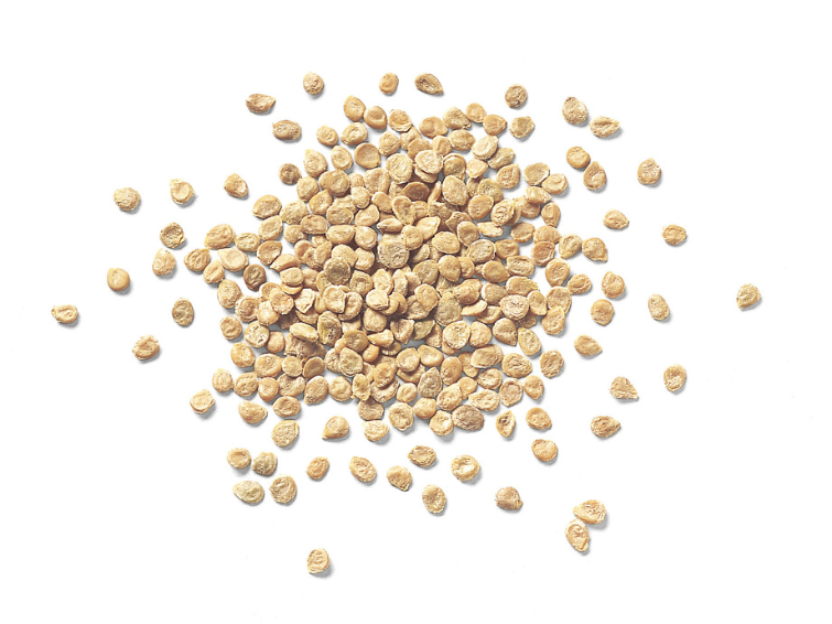 seeds_755x566.png