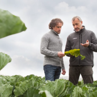 Empowering growers with premium seed solutions, driven by innovation and sustainability.