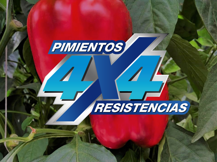 peppers 4x4 image