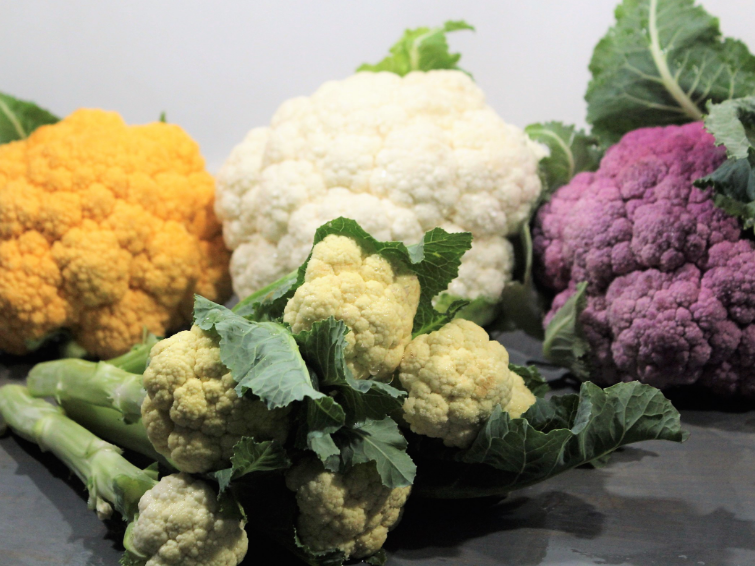 Brassica image 