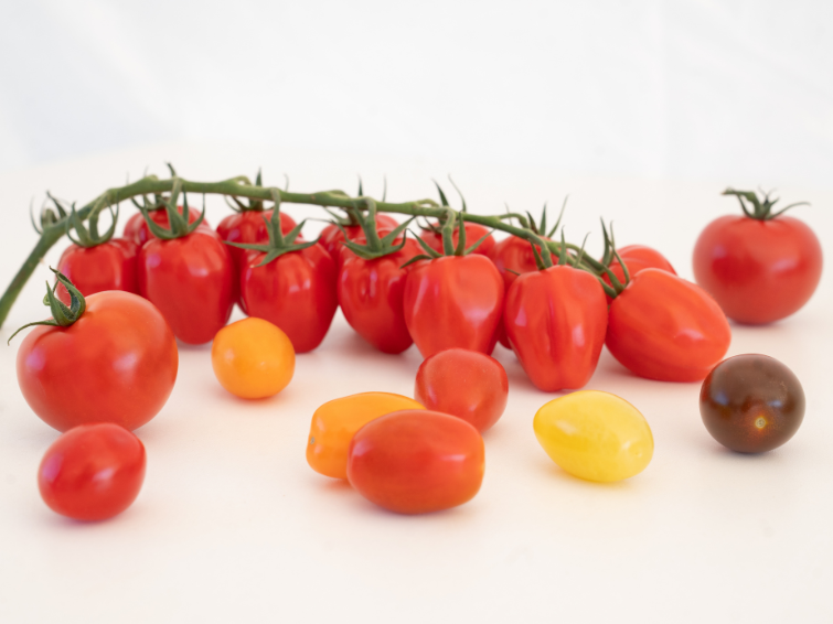 tomato_755x566.png