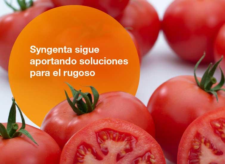 Soluciones para rugoso