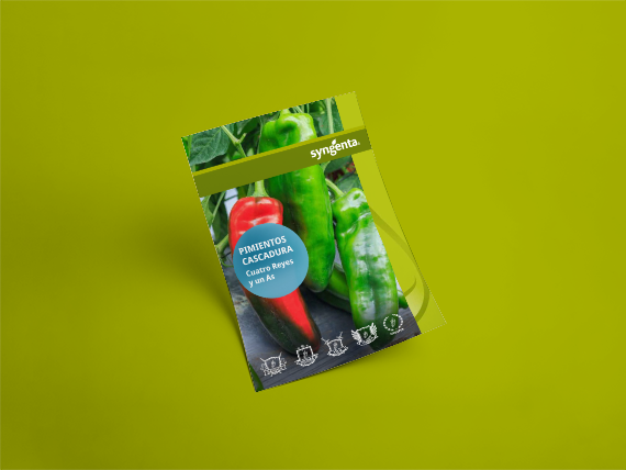 pimientos_cascadura_catalogo_image.png