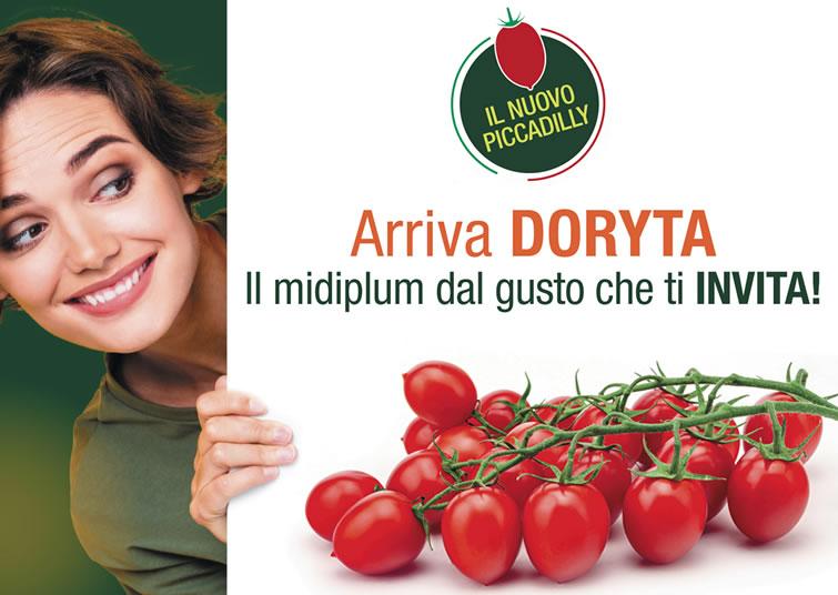 Doryta pomodoro