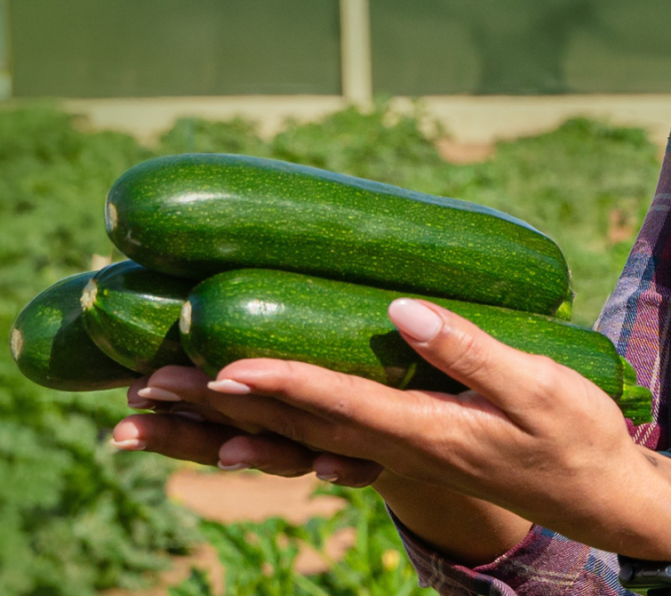 Courgette