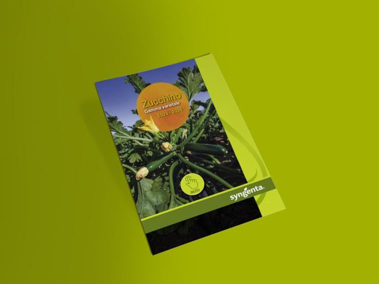 Catalogo gamma zucchino 2025-2026