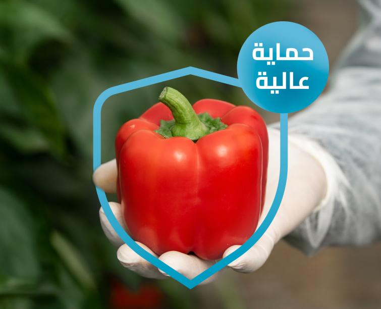 مقاومة قوية