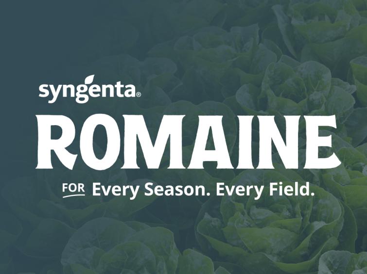 Romaine for every season, every field.