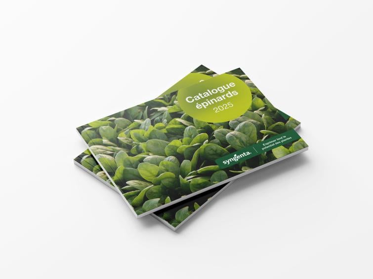 Catalogue épinards