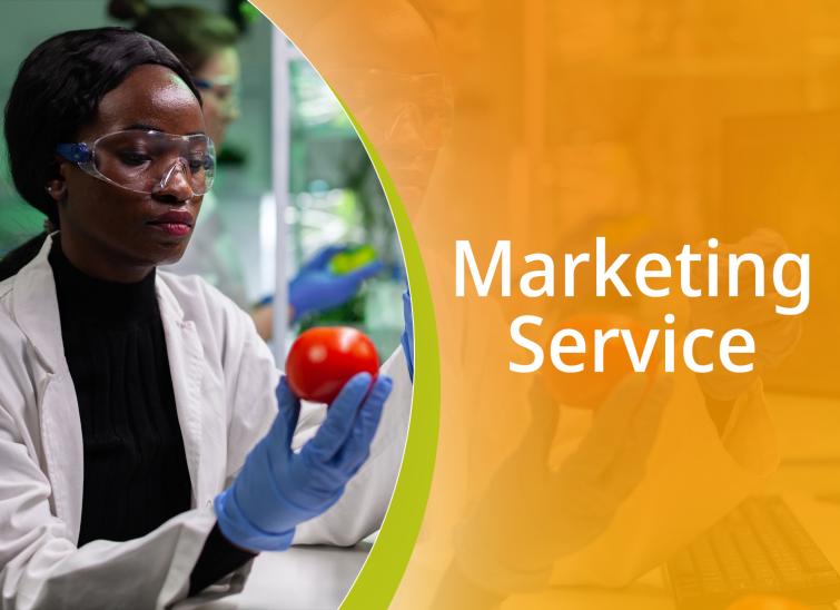 Marketing Service