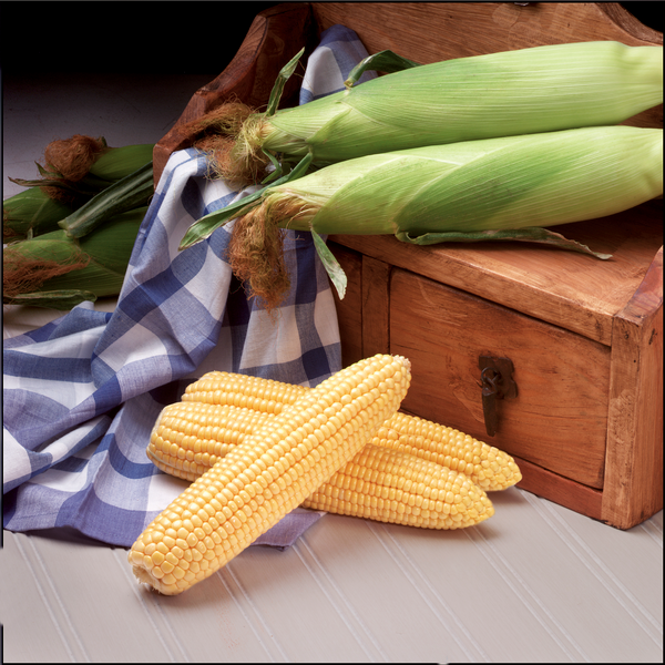 Leading the World in Sweetcorn