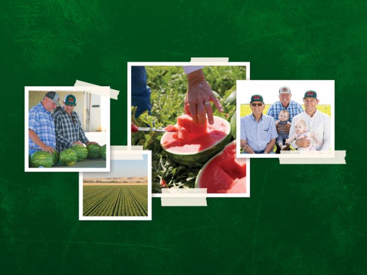 collage of watermelon and growers