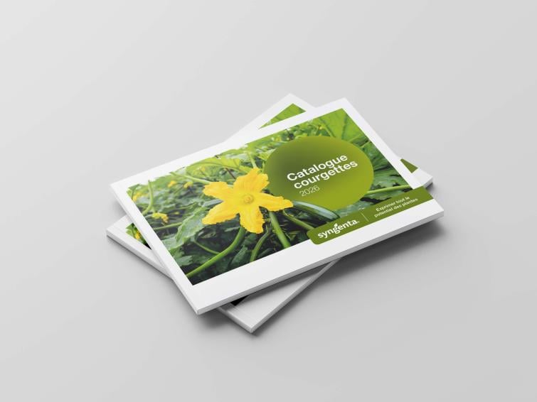 Mockup catalogue courgettes 2026