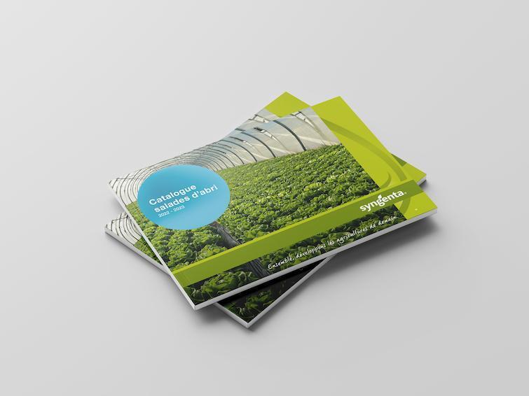 mockup salade d'abri