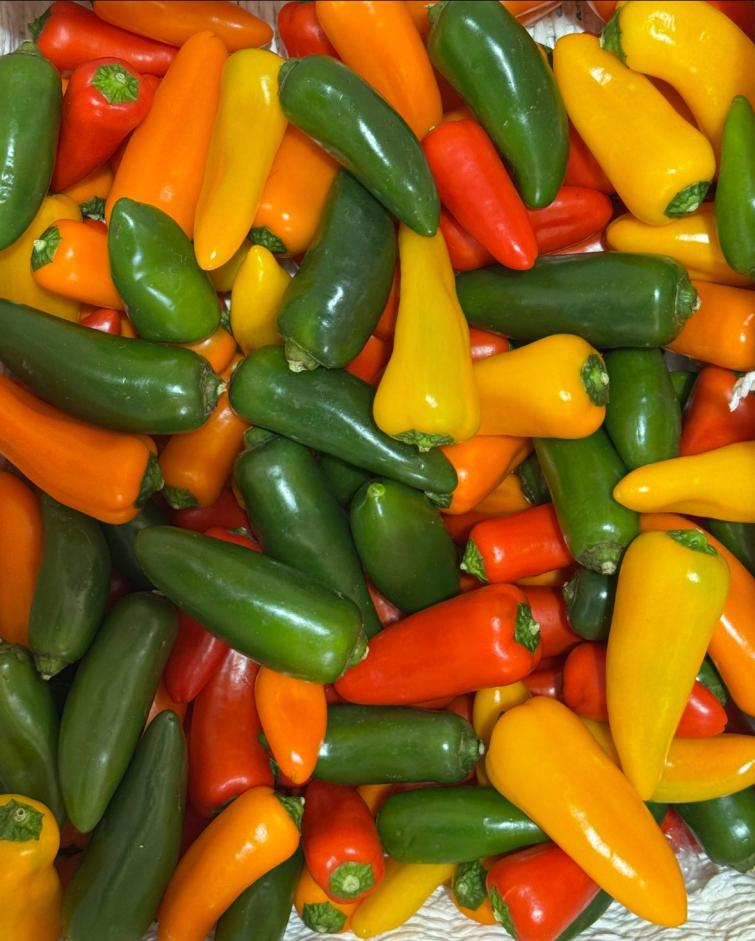 pepper