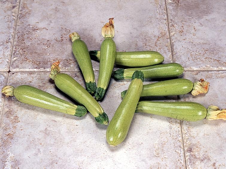 squash