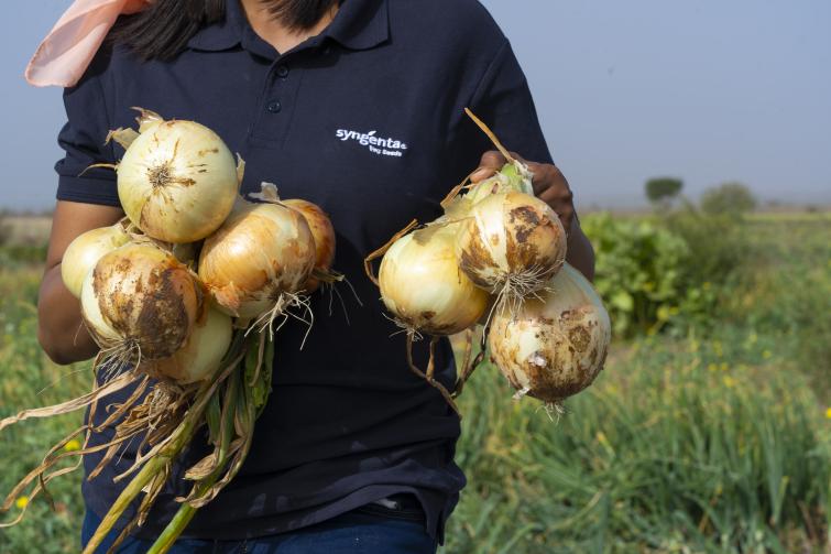 onion