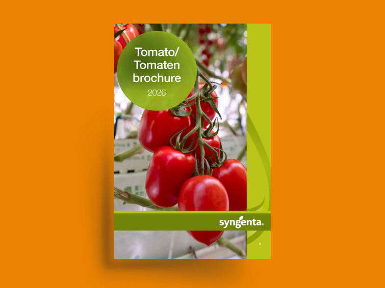 tomato_catalog_755x566.png