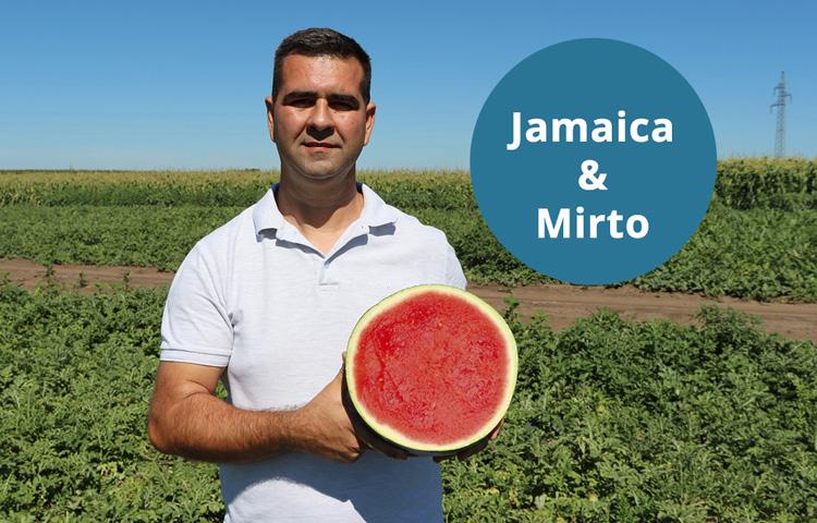 Jamaica és Mirto - Az ideális kapcsolat