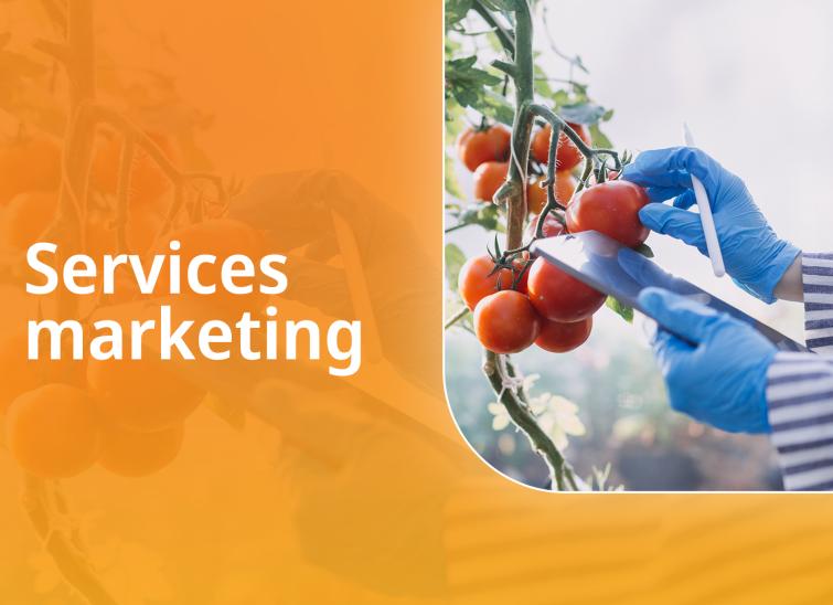 marketing