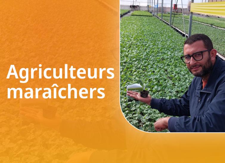 vegetable_farmers