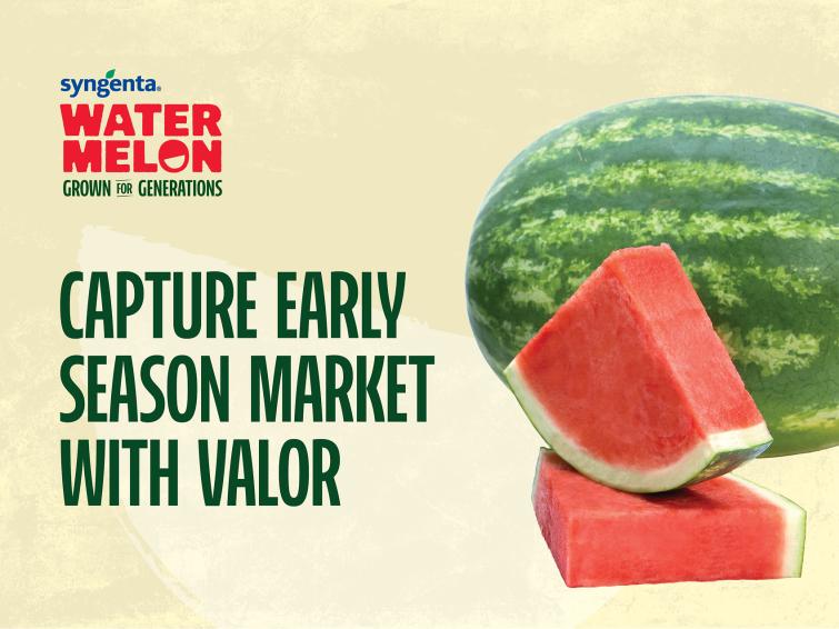 Watermelon: Grown for Generations 2026 | Syngenta Vegetable Seeds US